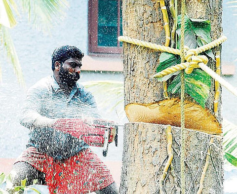 அழிவின் விளிம்பில்: புதைக்கப்படும் 1,500 கோடி உயிர் உலகங்கள்