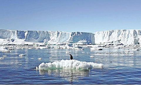 பூமியைக் காப்பாற்றுங்கள்!