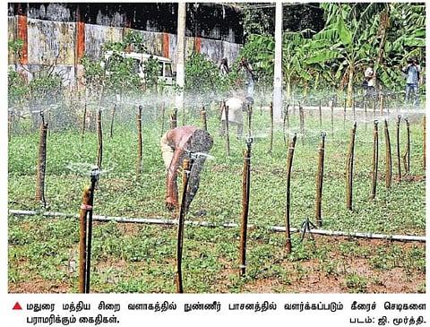 மதுரை மத்திய சிறையில் எந்தவொரு குற்றச் செயலிலும் ஈடுபடாத கைதிகளுக்கு ‘நன்னடத்தை இல்லவாசி’ சான்று