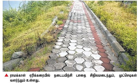 தருமபுரி ராமக்காள் ஏரிக்கரை நடைபயிற்சி பாதை சேதம்: சீரமைக்க மக்கள் கோரிக்கை