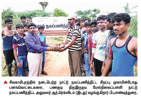 பனை மரங்களை வளர்க்கும் பணகுடி பள்ளி மாணவர்கள்