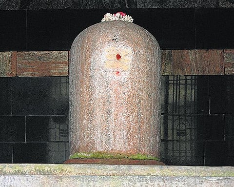 சித்தர்கள் அறிவோம்: தானாய் ஆடிய கயிறு- அப்புடு சுவாமிகள்