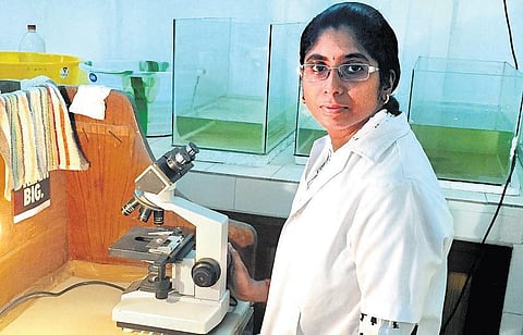நிலங்களை மீட்டெடுக்கும் நுண்ணுயிரிகள்: சென்னை மாணவியின் புது ஆராய்ச்சி