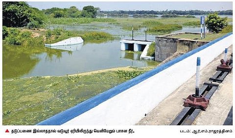 கதவணை இல்லாததால் தண்ணீரை தேக்கமுடியாத வடுவூர் ஏரி: ஏரியிலிருந்து வீணாக வெளியேறும் பாசன நீர்