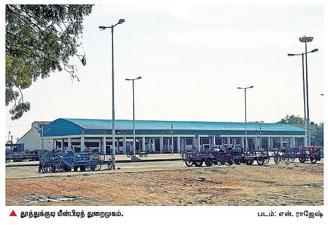 முன்மாதிரியாக திகழும் தூத்துக்குடி மீன்பிடித் துறைமுக மேலாண்மை சங்கம்: 2 ஆண்டுகளில் கையிருப்பு ரூ.1 கோடியாக உயர்வு