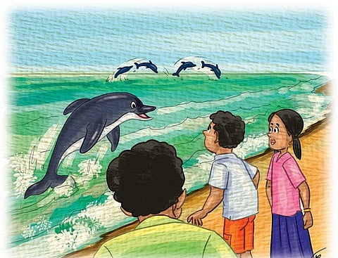பசுமைப் பள்ளி- 6: அன்பே ஓங்கில்