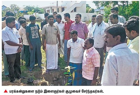 பயன்தரும் மரங்களால் பசுமையாகும் கிராமங்கள்: மாதம் 50 மரக்கன்று நட இளைஞர்கள் குழு முடிவு