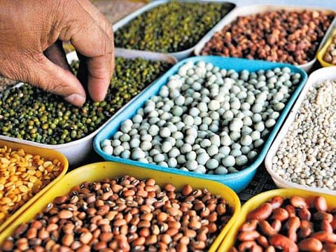 82 ஆயிரம் டன் பறிமுதல்: பருப்பு விலை ரூ.20 சரிவு