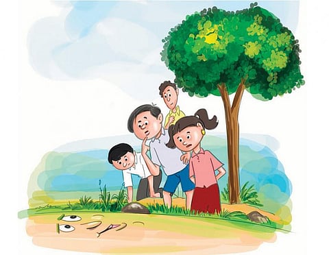 பசுமைப் பள்ளி-8: இயற்கையே அறிவு