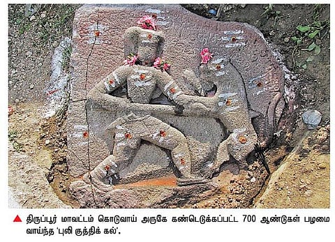 தமிழ் எழுத்துக்களுடன் 700 ஆண்டுகள் பழமை வாய்ந்த ‘புலி குத்திக் கல்’: திருப்பூர் அருகே கண்டெடுப்பு
