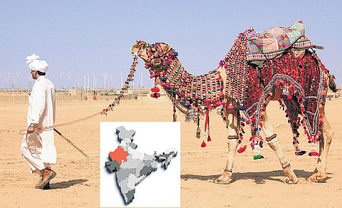 மாநிலங்களை அறிவோம்: பாலைவனச் சோலை- ராஜஸ்தான்
