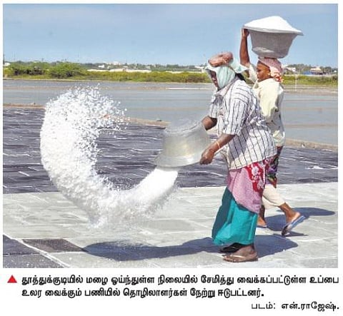 தூத்துக்குடியில் உப்பு உற்பத்தி பாதியாக சரிவு: விலை இரு மடங்கு உயர்வு
