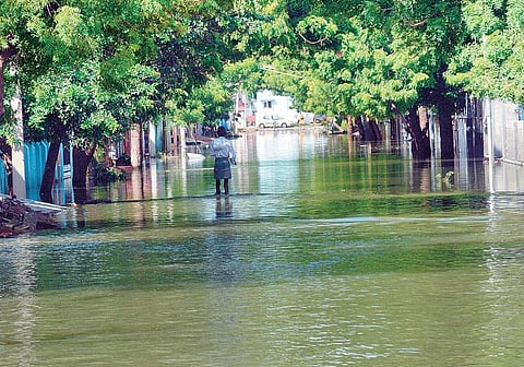 4-வது நாளாக வெள்ளம் வடியவில்லை: தொற்று நோய் பரவும் அபாய நிலையில் தூத்துக்குடி