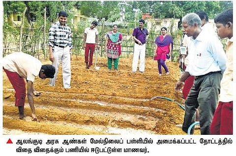 புதுக்கோட்டை மாவட்டத்தில் 5 அரசுப் பள்ளிகளில் காய்கறி தோட்டம்: மாணவர்களுக்கு ஊட்டச்சத்தை அதிகரிக்க நடவடிக்கை