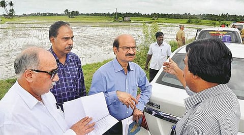 புதுச்சேரியில் புயல், மழை பாதித்த பகுதிகளில் மத்திய குழு ஆய்வு: அதிகாரிகள் மீது விவசாயிகள் சரமாரி புகார்