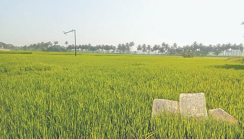 கங்கை கொண்ட வரலாற்றைத் தேடி... 2 - வீரம் விளைந்த வயல்