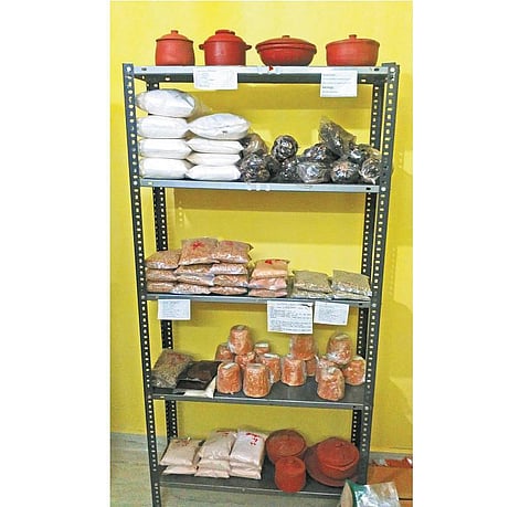 பசுமை அங்காடி: குழந்தை வாடிக்கையாளர்களைக் கவர்கிறோம்