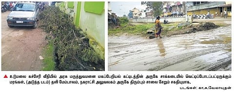 உடுமலையில் சாக்கடையில் போடப்பட்ட மரக்கிளைகள்: கழிவு நீர் தேங்குவதால் நோய் பரவும் அபாயம்