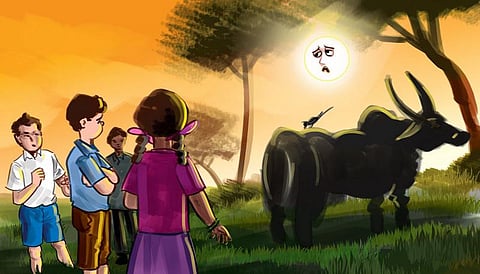 பசுமைப் பள்ளி 18: வெப்பம் தணிப்போம்