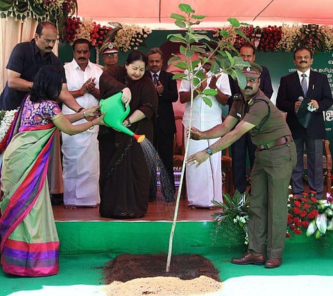 தமிழகம் முழுதும் 68 லட்சம் மரக்கன்றுகள் நடும் திட்டம்: முதல்வர் ஜெயலலிதா தொடங்கி வைத்தார்