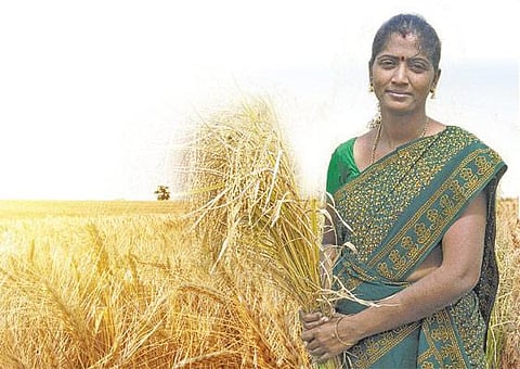 களம் புதிது: விருது வென்ற விவசாயி!