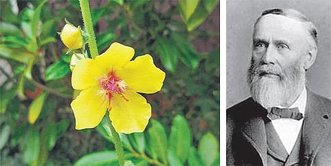 உலகின் மிக நீ......ண்ட பரிசோதனை!