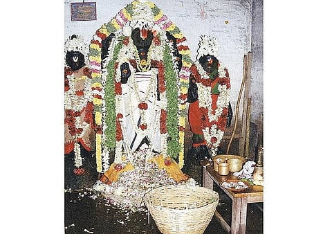 ஆலய தரிசனம்: மாவட்டகுடி ஸ்ரீவெங்கடாசலபதி திருக்கோயில் - வாழை இலையில் பிரதிபலிக்கும் சுவாமியின் முகம்