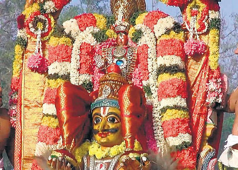 தங்க கருட வாகனத்தில் விஜய ராகவப்பெருமாள்