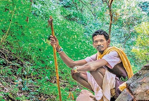 தமிழகத்தில் பழங்குடியினர் நலன்?