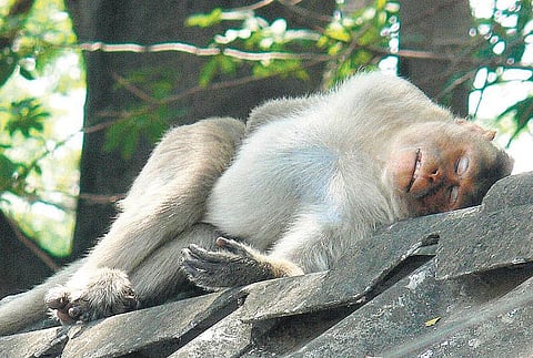 நீள் துயில் ரகசியம்