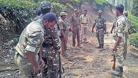 கூடலூர் அருகே புலியின் நடமாட்டம் கேமராவில் பதிவு