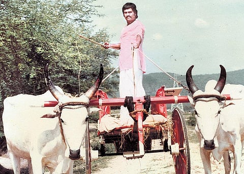 சினிமா எடுத்துப் பார் 50: ரஜினி காளையை அடக்கினாரா?