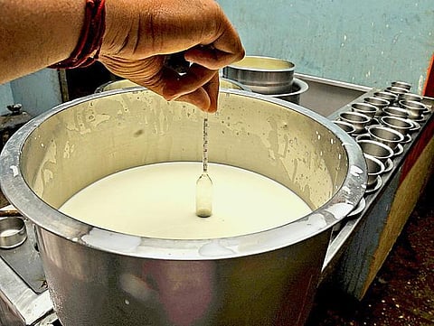 பாலில் 68 சதவீதம் கலப்படம்: நாடாளுமன்றத்தில் தகவல்