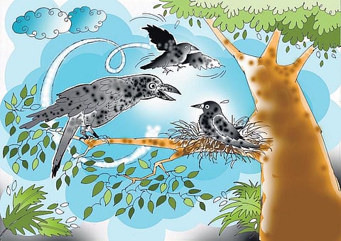 சித்திரக்கதை: பயத்தை வென்ற பிளாக்கி
