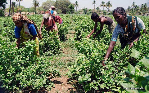 91 - வீரபாண்டி