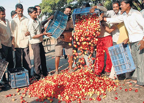 தக்காளி விலை வீழ்ச்சி: தடுக்க வழி இல்லையா?