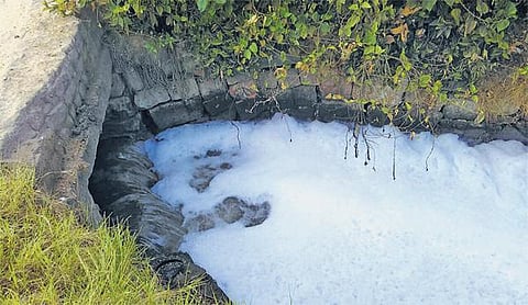 பாலாற்றில் கலக்கும் தோல் ரசாயனக் கழிவுநீர்: தொற்றுநோய் பரவும் அபாயம்