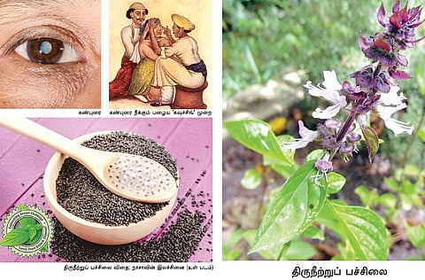 உலகம் அறியாத சித்த மருத்துவக் கொடைகள்