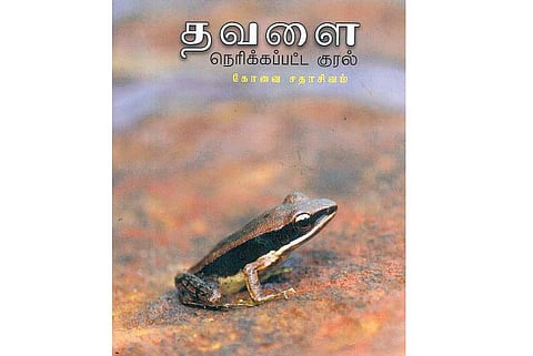 பசுமை இலக்கியம்: தொலைந்துபோன மழைப் பாடகர்கள்