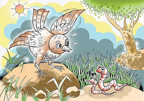 சித்திரக் கதை: மூக்கு நீ...ண்ட குருவி