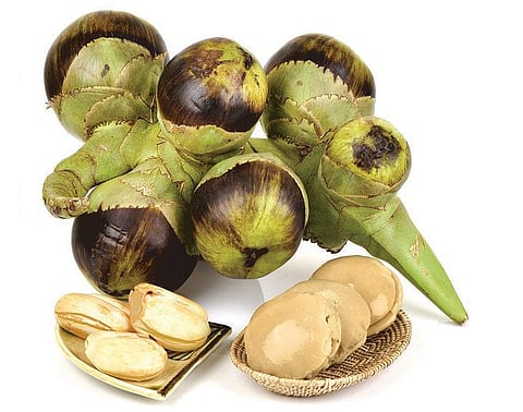 வெப்பம் தணிக்கும் இரட்டையர்கள்