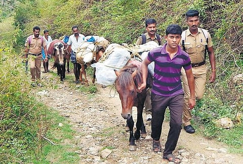தமிழகம், புதுச்சேரி சட்டப்பேரவைக்கு இன்று பொதுத் தேர்தல்: காலை 7 மணிக்கு வாக்குப்பதிவு தொடக்கம்