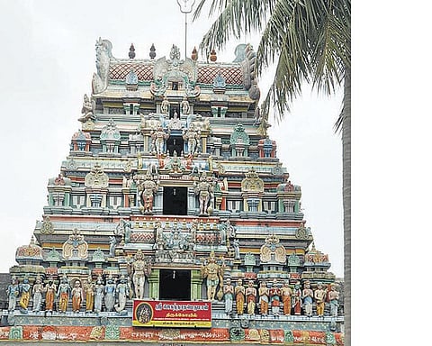 விண்ணகரத்தில் களைகட்டும் பிரமோற்சவம்
