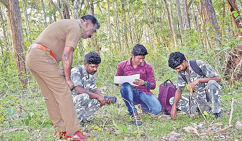 முதுமலை காப்பகத்தில் விலங்கு கணக்கெடுப்பு தொடக்கம்