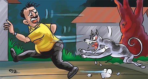 ஒரு ‘நாயி’ற்றுக்கிழமை நள்ளிரவு