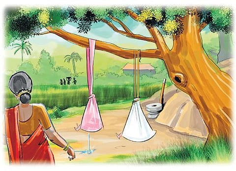 எங்க ஊரு வாசம்: நாக்கு சிவக்கும் கத்தாழைப் பழம்!