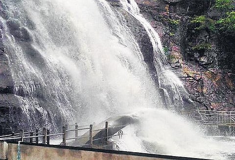 மேற்குத் தொடர்ச்சி மலையில் பலத்த மழையால் ஆறுகளில் வெள்ளம்: குற்றாலம் அருவிகளில் குளிக்க தடை நீடிப்பு