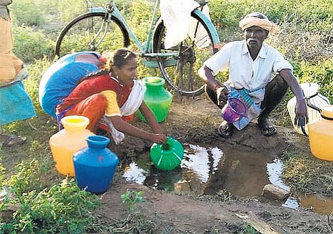 உடுமலை அருகே துங்காவி கிராமத்தில் கடும் குடிநீர் தட்டுப்பாடு: ஆடு, மாடு குடிக்கும் நீரையே அருந்தும் அவலம்
