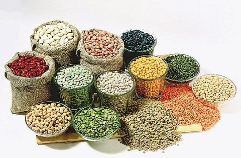 குறுந்தொடர்- 1: புரதச் சுரங்கம்