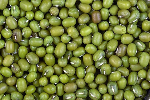 கொழுப்பைக் குறைத்து இதயம் காக்கும் பருப்பு